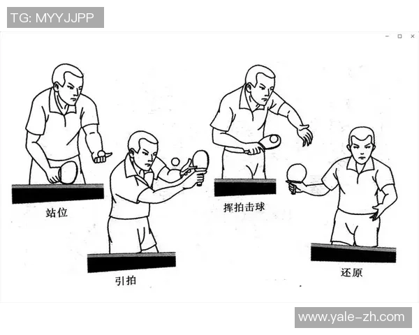 武汉乒乓球队总决赛战术分析与表现评估探讨